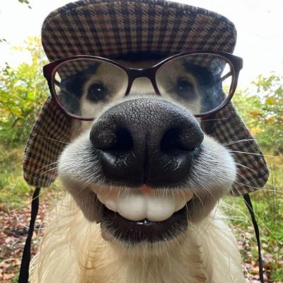 Profile photo of profitier, Solana on-chain trader (wallet 4pqD…ZkxJ)