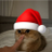 Profile photo of matsu, Solana on-chain trader (wallet 9f5y…Wh1p)
