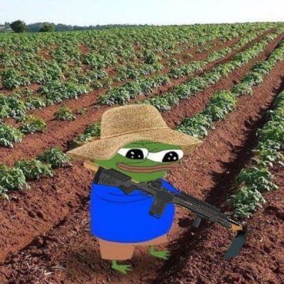 Profile photo of Rice, Solana on-chain trader (wallet CWvd…C8ou)