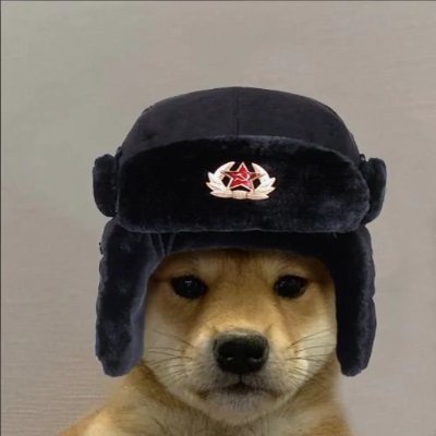 Profile photo of Qavec, Solana on-chain trader (wallet gang…91RV)
